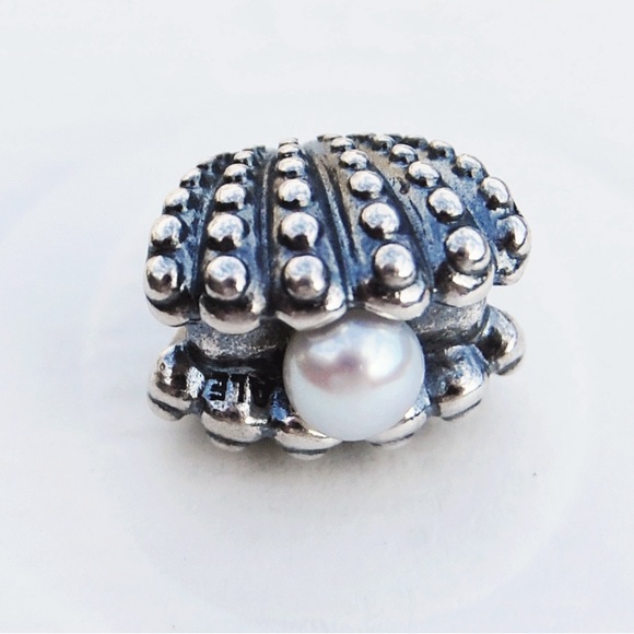 Authentic Pandora charm-retired - Picture 1 of 4